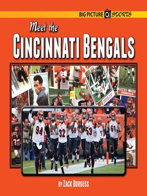 cover image of Meet the Cincinnati Bengals